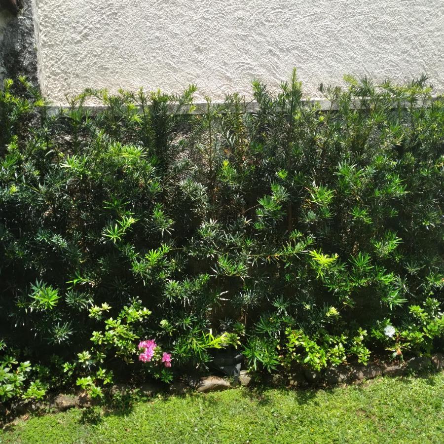 Suite Caicara Peruíbe Exterior foto
